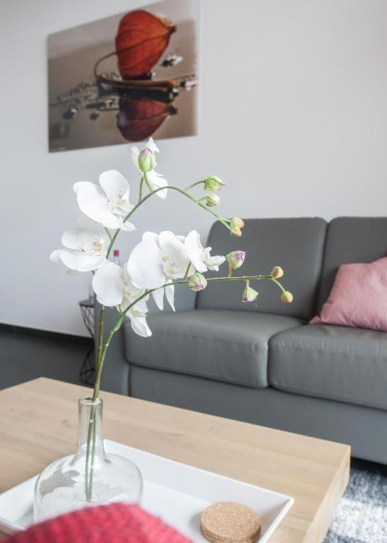 Luxus-appartement-winterberg Winterberg